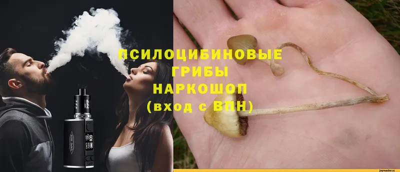 Галлюциногенные грибы Magic Shrooms  магазин продажи   Боровск 